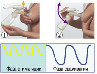 двухфазный молокоотсос медела